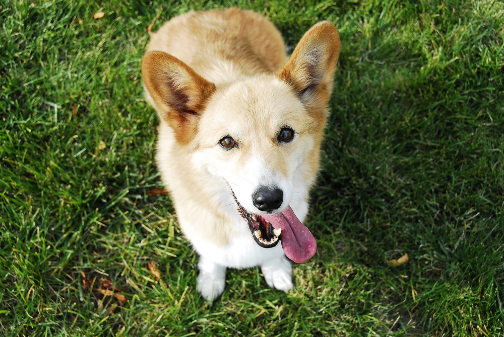 【お盆期間特別割引き】（コメントで更に2万円引き）【希少☆一点物】サイドテーブル お盆期間特別割引き】（コメントで更に2万円引き）【希少☆一点物