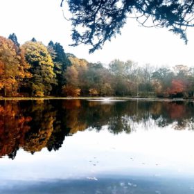 【10月】秋の詩情　道南で楽しむ贅沢な紅葉体験